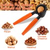 BANTI Nutcracker Walnuts Walnut Cracker Nut Opener Nut Cracker for