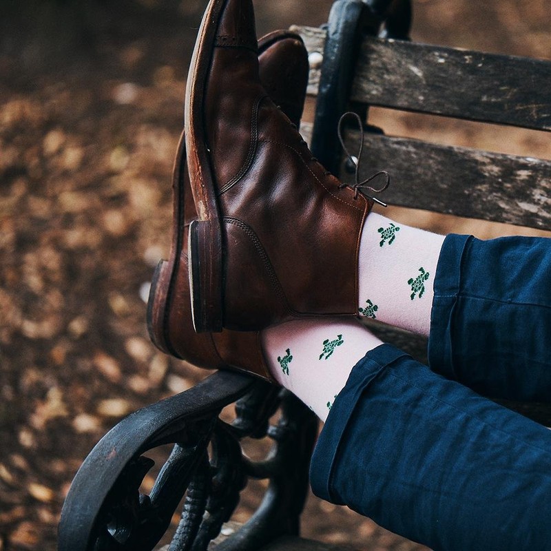 SummerTies Turtle Mens Dress Socks - Green on Pink