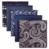 SHLAX&WING 5 Pieces Assorted Mens Silk Pocket Square Handkerchiefs Set