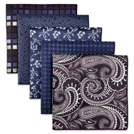 SHLAX&WING 5 Pieces Assorted Mens Silk Pocket Square Handkerchiefs Set 75