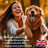 Canine Ketchup Pure Scottish Salmon Oil for Dogs UK -