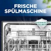 Finish Dishwasher Cleaning Tabs