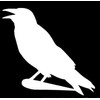 Perching Crow Magpie Raven - Decal Sticker, Die Cut Vinyl Decal for Windows, Cars, Trucks, Tool Boxes, laptops, MacBook - virtually Any Hard, Smooth Surface