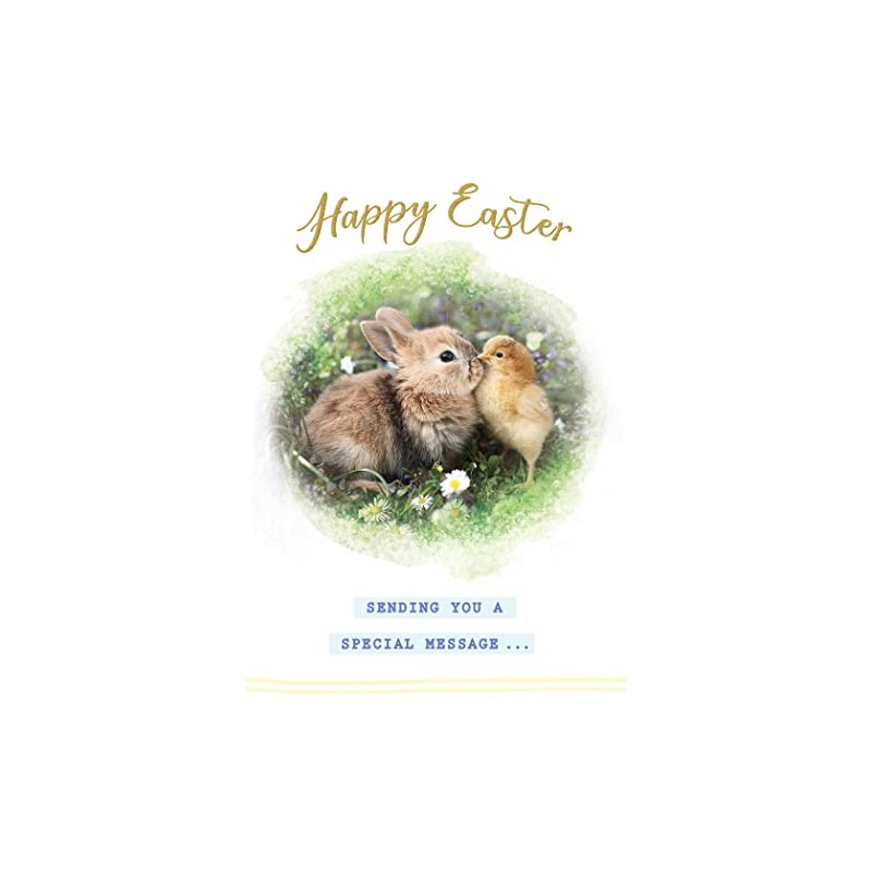 Easter Card Open Bunny & Chick - 7 x 5
