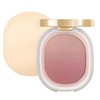 Lilyloria Matte Face Blush Powder for ‌Cheeks‌ with Brush ‌Blendable‌