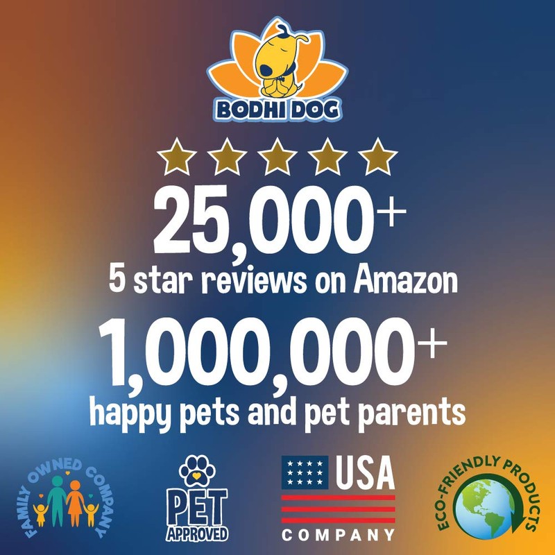 Bodhi Dog Disposable Male Dog Diapers - Super Absorbent, Leak-Proof