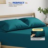 THREAD SPREAD 100% Egyptian Cotton Pillow Cases - 600 Thread