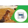 Bio Zoo Anti Sarna Para Perros Lasarnol