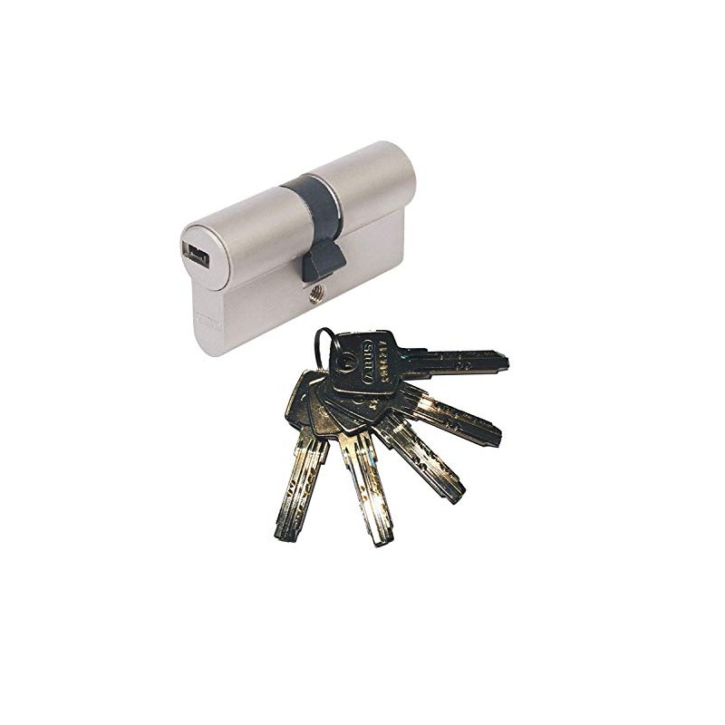 ABUS Profile Cylinder Door Cylinder EC550 EC 550 with 5