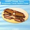 FEISEDY Retro Sunglasses for Women Men Trendy Aviator Sunglasses Classic
