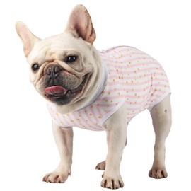 Due Felice Dog Surgical Recovery Suit Puppy Onesie Cat Bodysuits After Surgery for Abdominal Wounds Skin Diseases Pet E-Collar Alternative Suitable for Female Male Dog