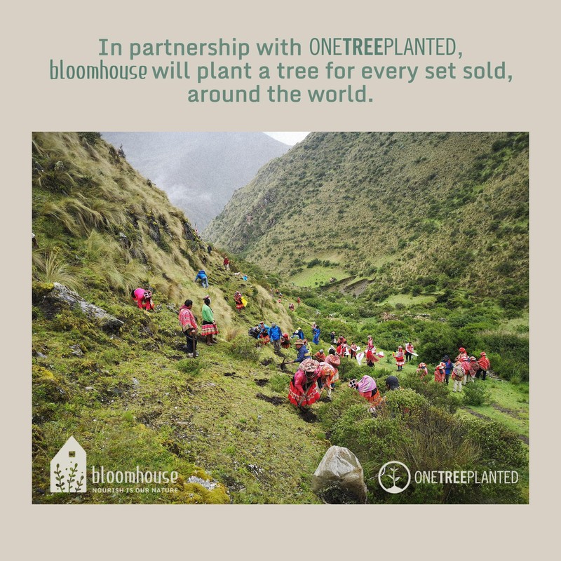 Bloomhouse Corsica Clay 4 Piece Dinner, Pasta, Meal Bowl Set