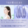 Segreta Shampoo Tames Frizzy Hair Main Body