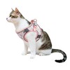 BTDCFY Step in Mesh Dog Harness and Leash Set Breathable
