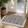 Indoor Washable Door Mat, Small Area Rug for Kitchen, Soft