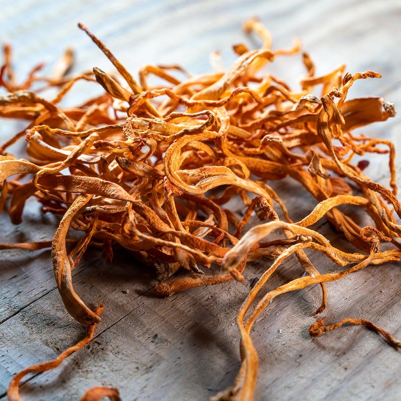 Full Spectrum Cordyceps Militaris Fruiting Body Extract Powder - Superior