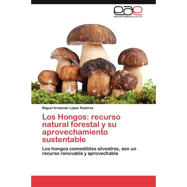 Los Hongos: recurso natural forestal y su aprovechamiento sustentable: Los