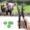 MUYIRTED Pig Castration Pliers Clamp Elastrator Castration Band (1 Animal
