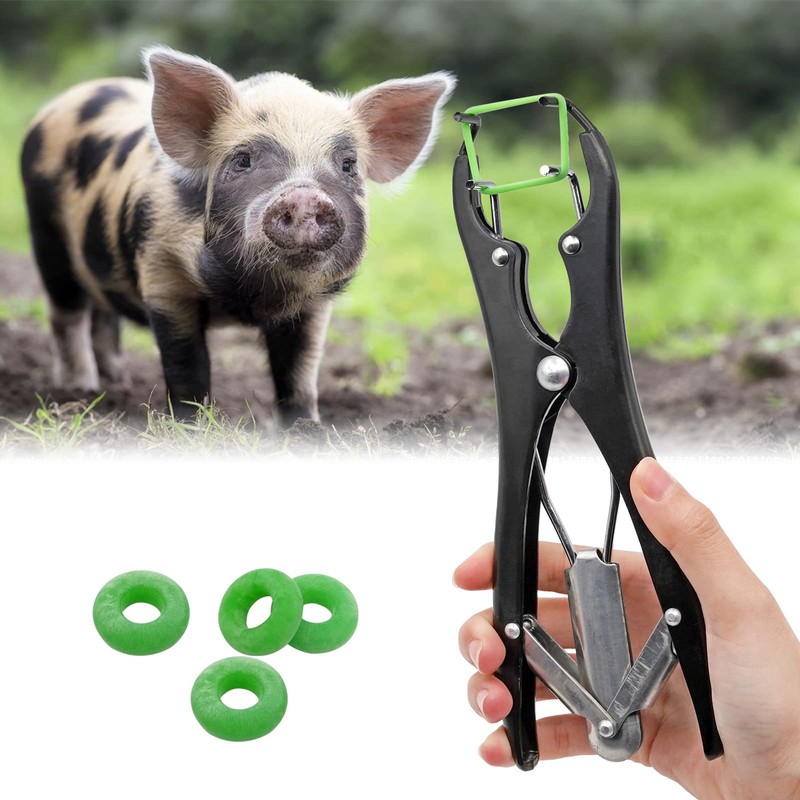 MUYIRTED Pig Castration Pliers Clamp Elastrator Castration Band (1 Animal