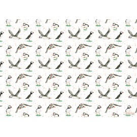 Puffin Puffins Birds Recycled and Recyclable Gift Wrapping Paper, 2 Sheets and 2 Tags - Birthday Gift Wrap for Her - Him - Mother's Day - Father's Day