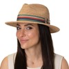 Stetson Littlefield Raffia Hat - Traveller Style - Natural Colour