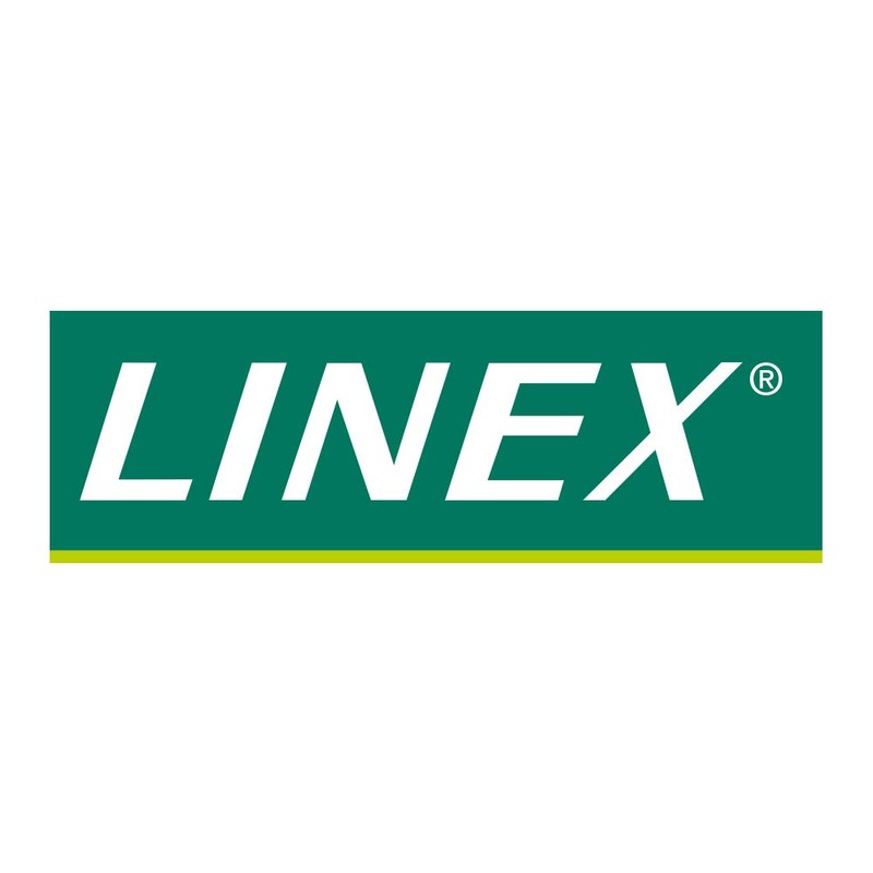 Linex 100:500 300mm Triangular Scale Rule - White