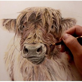 Highland Cow Prints Pictures Wall Art, Cattle Gifts Idea, Scottish Cow Farmhouse Kitchen UNFRAMED A4, Crafty Cow Design