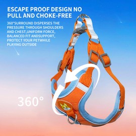 Dog Harness Breathable Sport Harness Mid Cats Harness Secure with Hook & Loop, Small Dog Harness and Leash Set, Reflective Dog Vest Harness, Dog Harness for Small Dogs and Medium Size Dog