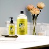 Caldrea Hand Soap Refill, Aloe Vera Gel, Olive Oil and