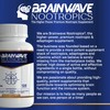 Brainwave Nootropics® Brain Supplement | Mental Performance & Cognitive Function