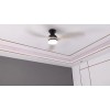 Sofucor Smart Solid Wood Ceiling Fan Phone/Voice/Re