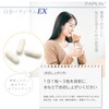 Hideyo Noguchi's Platinum Palladium EX 30 Tablets Toyo Kosei Seiyakusho