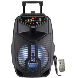 Top Tech Fully Amplified Portable 2000 Watts Peak Power 8” Speaker w/ LED & free  Mic  - Black