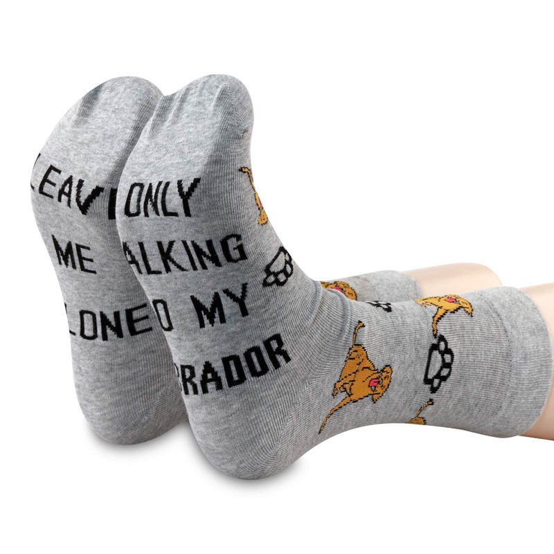 Dog Lover Socks - Leave Me Alone Only Talking To