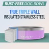 Coldest Dog Bowl - Anti Rust Metal, Non Slip, 3