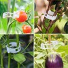 LFBEST Tomato Hooks Set, 15 Pieces Tomato Hooks Metal with