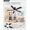 Fanbulous 46 inch Ceiling Fans with Lights, Flush Mount Ceiling