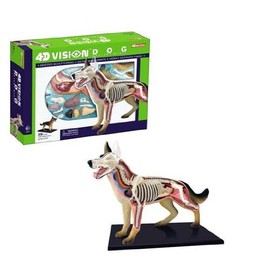 Tedco 4D Vision Dog Anatomy Model