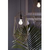 GE Lighting LED Light Bulbs, 60 Watt Eqv, Daylight, A19