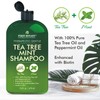First Botany Tea Tree Mint Shampoo & Conditioner for Men