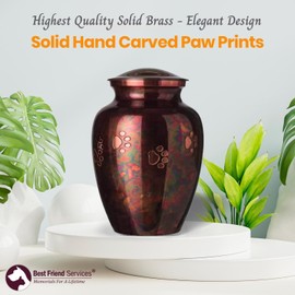 Best Friend Services Pet Urn - Ottillie Paws Legacy Memorial Pet Cremation Urns for Dogs and Cats Ashes Hand Carved Brass Memory Keepsake Urn (Raku, Horizontal, Brass, Large)