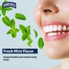 ProPicks MicroPick Dental Picks for Teeth Cleaning with Zinc Oxide