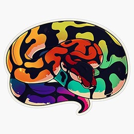 Magnet Rainbow Ball Python Magnet Bumper Sticker Car Magnet Flexible Reuseable Magnetic Vinyl 5"
