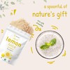 Micro Ingredients Organic Lemon Juice powder, 10 Ounce | 100%