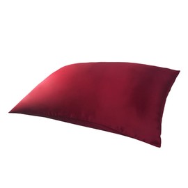 Jasmine Silk 100% 19 Momme Mulberry Charmeuse Silk Pillowcase for Hair and Skin 50 cm x 75 cm Envelope Closure - RRP £35 (Burgundy)