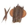 12pcs Natural Pheasant Feathers 4 Style 20-25cm Natural Feathers for