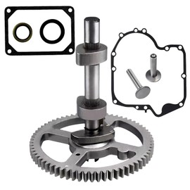 RYTIME 793880 84005207 Camshaft Compatible With Briggs and Stratton 793583 792681 791942 795102 4 Cycle Small Engine Camshaft Replacement Kit with Gasket