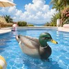 Cifavor Realistic Plastic Mallard Duck Decoy, Floating Hunting Decoy for