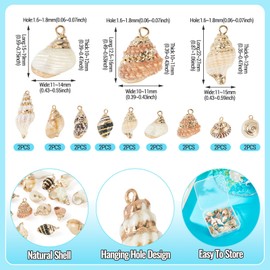 Boutigem 18Pcs Natural Shell Pendants Electroplated Cowrie Shell Charms Ocean Beach Spiral Seashells Charms for DIY Earring Necklace Bracelet Jewelry Making