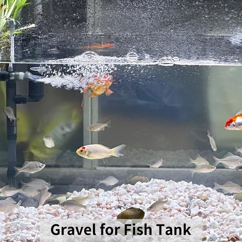 FANTIAN 10LB Natural Succulent Gravel Decorative White Rocks - 3/8''